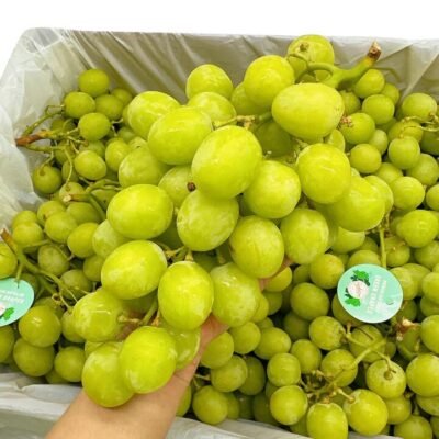 Premium Australian Autumn Crisp Grape Size 26 - 900g