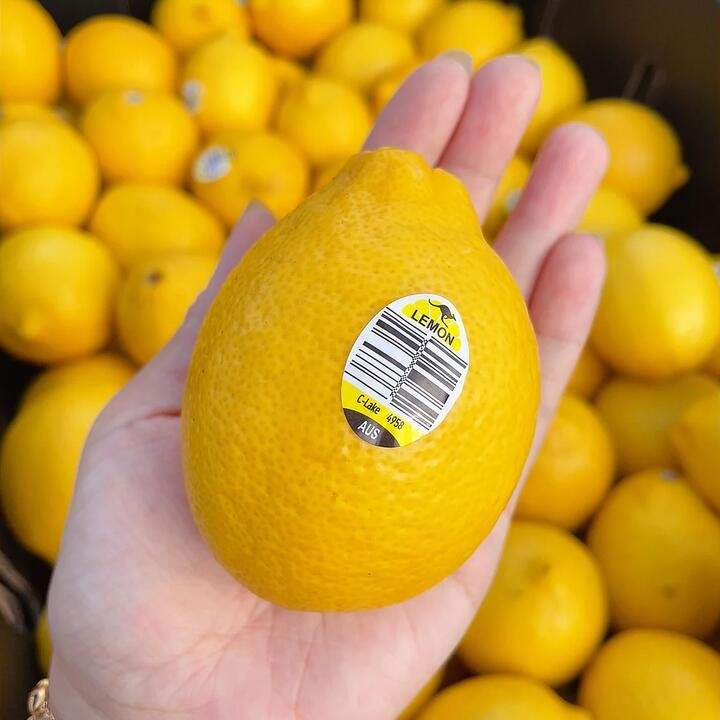 Lemons, Pack of 4