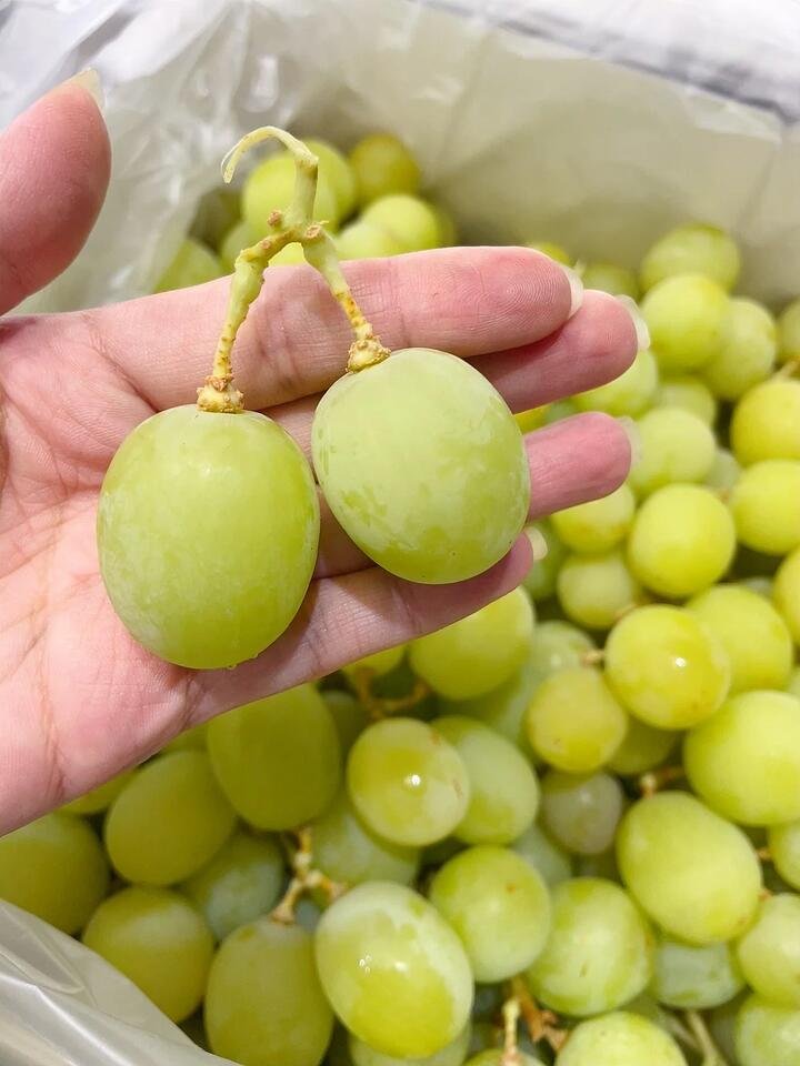 Kyoho King Shine Muscat Grapes - 900g