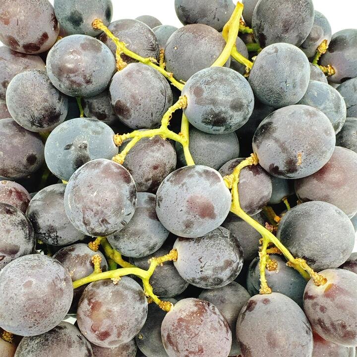 Kyoho Air-Flown Grapes from USA - 1.3kg