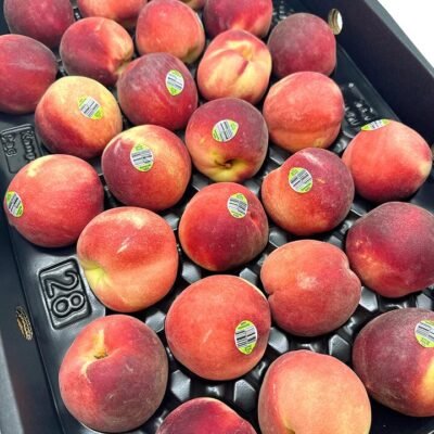 Watermelon Peach - 4 pcs