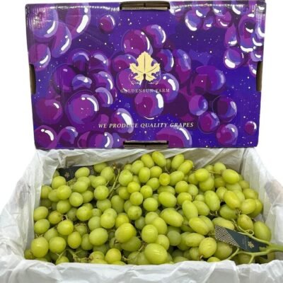 Australian Shine Muscat Grapes - Box of 4.5kg