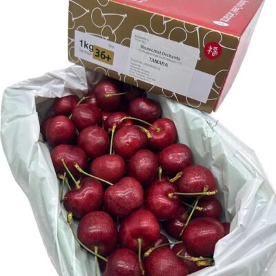 Bourbon Creek Tasmanian Cherries Gift Box 36mm+ - 1kg