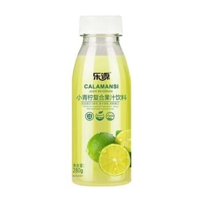 JoySource Small Green Lime Mixed Fruit Juice Drink 280ml X2