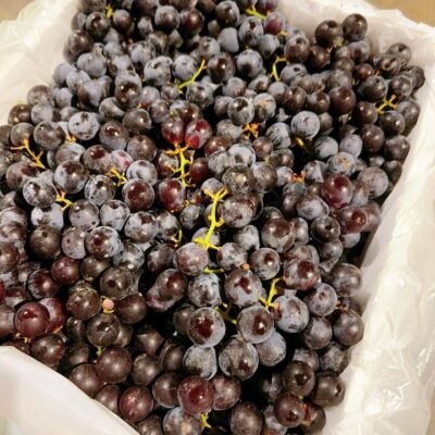 Black Muscat Grapes - 1kg