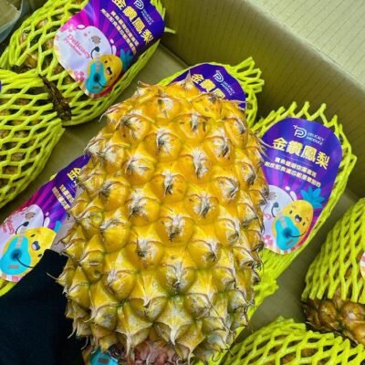Taiwan Golden Diamond Pineapple - 1 Piece