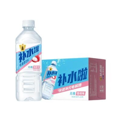 Dongpeng Hydration Electrolyte Drink - Lychee (Sugar-Free) 555ml x 24 Bottles